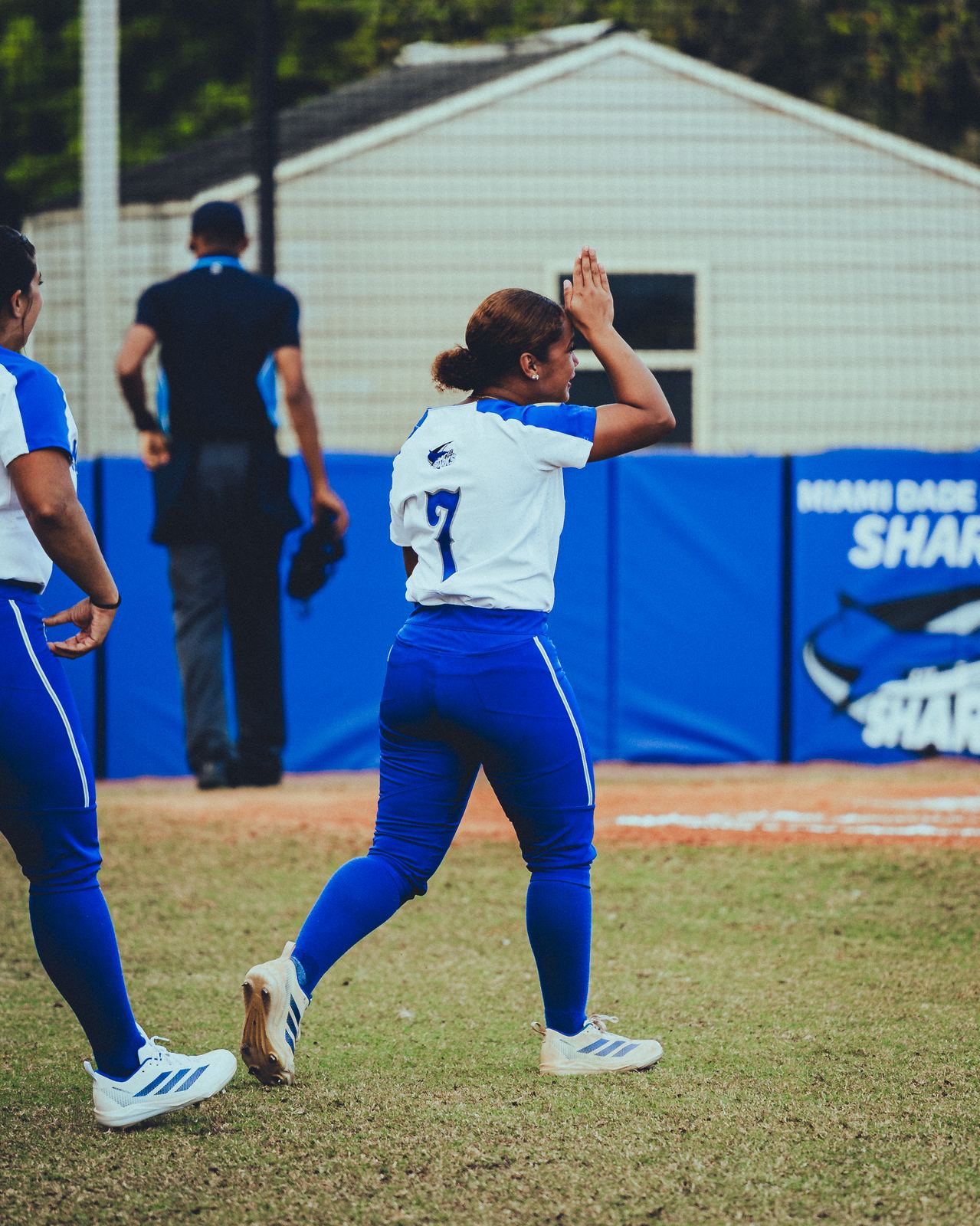 Softball