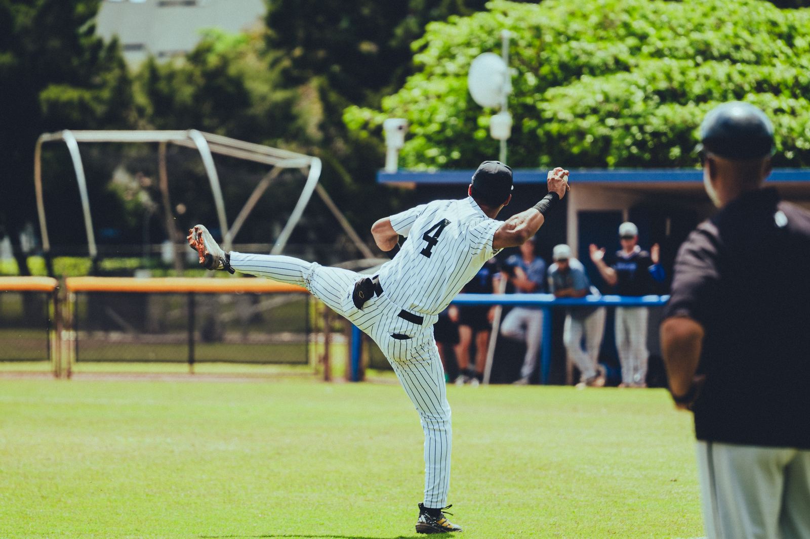 Baseball